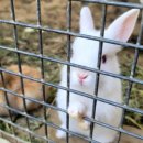 용덕농장 이미지