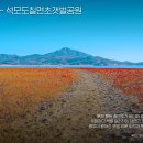 나무향기 이미지