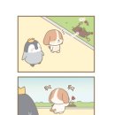 신문활용과논술 이미지