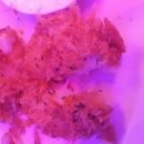 조아 당구클럽 이미지