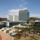 세운버스㈜ 이미지