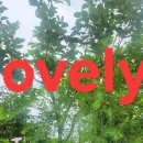 For delay dementia 1,293 Easy english 이미지