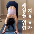 바른자세요가교실(야) | 광주 첨단 요가 - 재활 운동 잘 하는 곳은 이곳! 삼인요가원 들어보셨나요?