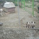 가현2농장 이미지