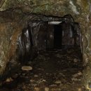 곤드레만드레 이미지