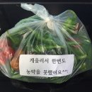 오성식품 이미지