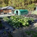 대덕면사무소 이미지