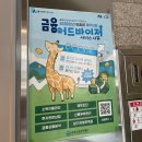 금융 재테크 | [금융산업공익재단] 대구 금융어드바이저 상담 후기, 청년 재테크 (1차 무료 상담 후기)