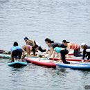 SUP와 Paddle Board 이미지