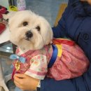 신전떡볶이 장성점 | 2026년 시작! 1월 1일, 2일 가계부, 신랑이랑 삼청동 나들이, 약속장소까지 뛰어서 가기, 가치관이 비슷...