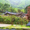 오성글로벌기획 | 산벚꽃 보고 한옥스테이까지…BTS 성지로 입소문 난 '한옥마을'
