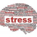 더함한의원 이미지