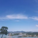 진도모터스 이미지