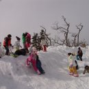 무궁화어린이집 이미지