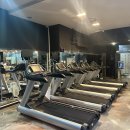 팀바디매스 이미지