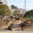 거제 장승포초등학교 (주)거제타임즈