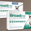 허그동물의료센터 이미지