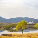 금강수변공원(보람동) 이미지