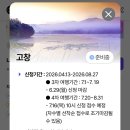 고창카센타 - 고창군 보릿골로 21 | 고창 반띵여행 선정 후기 경비 70% 환급받는 꿀팁 대한민국 반값여행 신청방법 총정리