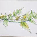 수비면 작은도서관 이미지