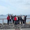 렌트투어 | 제주도 단체여행 서귀포 투어 | 쏠라티 렌트 여행 후기🍊