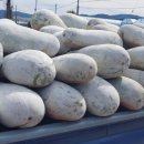 담비농장 이미지