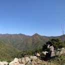 태성목장 이미지