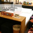 레몬트리 이미지