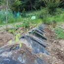 비룡농장 이미지