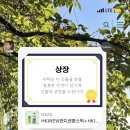 다니따 이미지