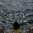 보목 | 제주도 윤슬사진 잘나오는곳 보목포구 2월 방문 후기 사진 꿀팁 및 주차 방법