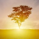 새날목장 이미지