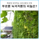 상인3동행정복지센터 이미지