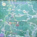 편백나무와 삼나무 산림욕장 -축령산- 이미지