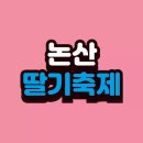 논산딸기축제 2025 | 일정, 프로그램, 체험 후기 총정리! 🍓