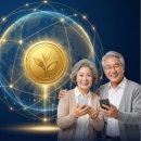 올포인트｜주)와이콘즈·와이콘즈 주식·온라이프 상조·티머니·티머니올포이트·통합포인트 사업 설명