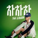 차차차 마이데일리