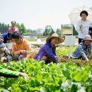 다둥이 축산 이미지