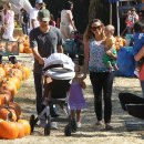 토비농장 이미지