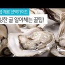 11월 제철 해산물 굴 세척 생굴 굴씻는법 굴 보관법 이미지