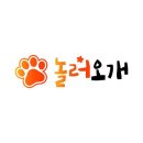 놀러오개 애견유치원 모충점 티스토리