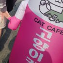 비는 자꾸만 죽으려 하고 우산은 살리려 한다