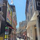 봄을담아 이미지