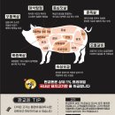 판교돈 - 성남시 분당구 황새울로 325 | 판교돈