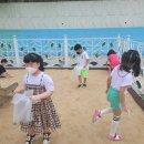소일초 이미지