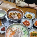 제주공항 근처 해장국, 고기국수 맛집! 제주순풍해장국 공항본점 방문 후기