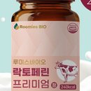 정바이오 이미지