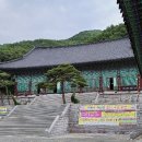 먹고가쉼