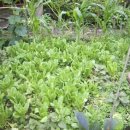 예촌민박 이미지