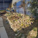 들꽃이 있는집 이미지